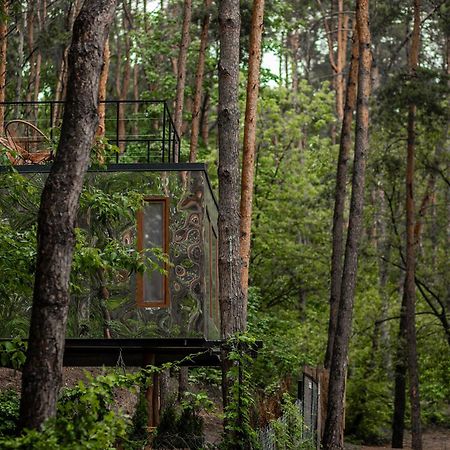 Nad Narvia - Dom Na Drzewie Serock Exteriör bild